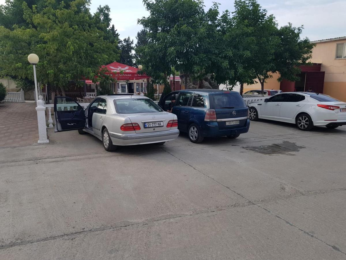 Hotel Selika Rustavi (Kvemo Kartly) Exterior foto